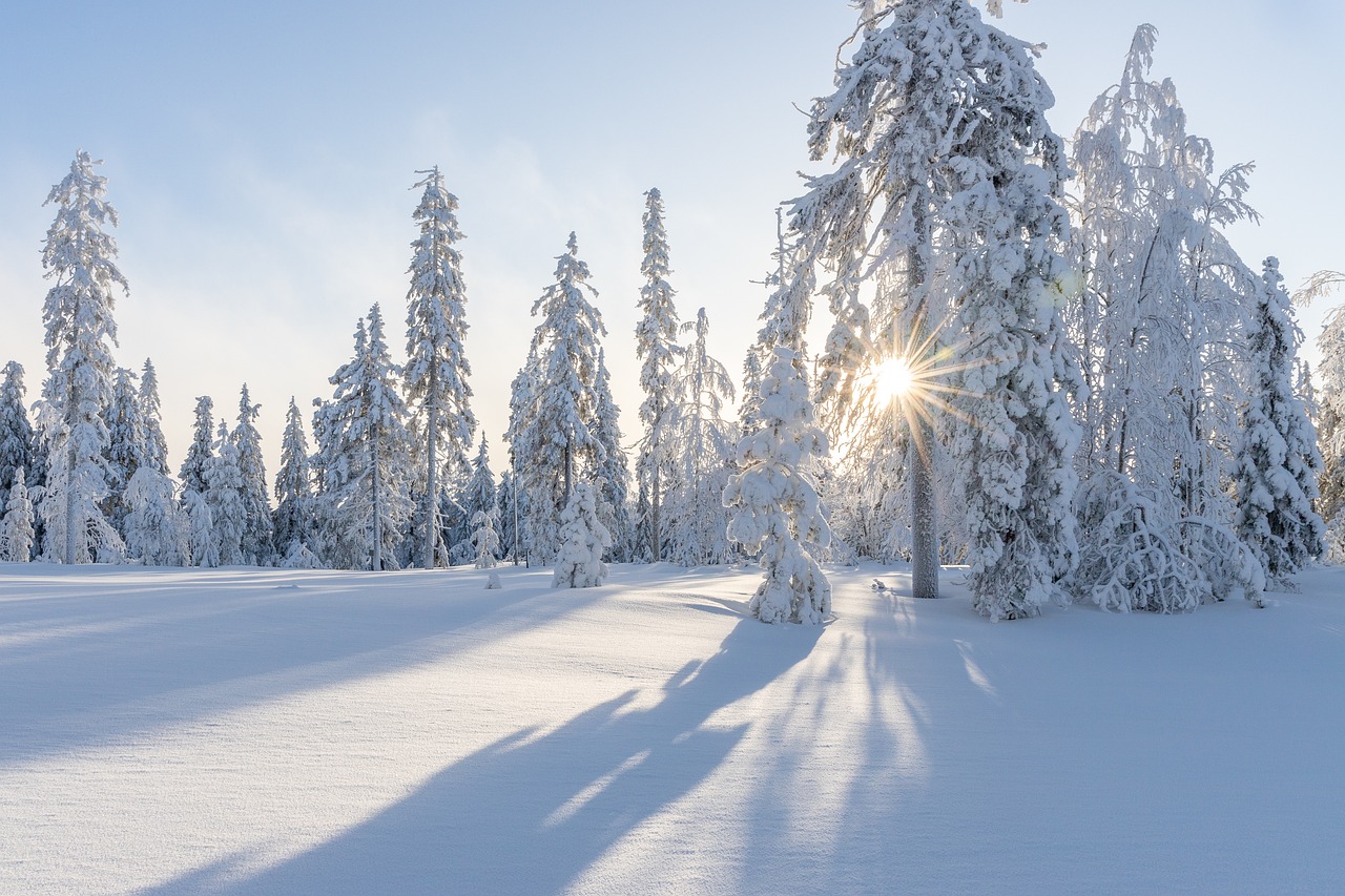 Winter Holiday Safety: Tips for Vacationers